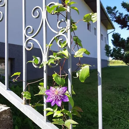 Axtburg * Berbaltavar