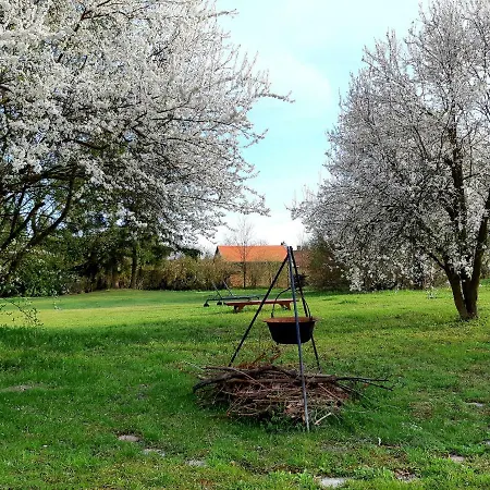 Axtburg Apartman *